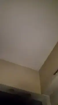 gala2 online show from January 19, 2025, 6:31 am