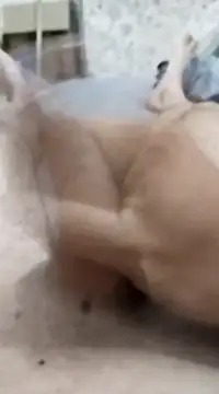 Snapshot of quierodarleche69 chatting on January 20, 2025, 3:26 am quierodarleche69 online show from January 20, 2025, 3:26 am