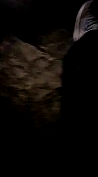 playtyme420691 online show from December 7, 2024, 5:15 am