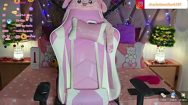 CharlotteMillers online show from December 3, 2024, 12:27 pm