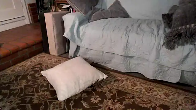 Snapshot of Dark_Asteroid chatting on February 20, 2026, 12:38 pm Dark Asteroid online show from February 20, 2026, 12:38 pm