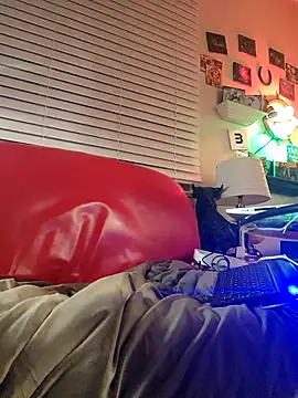 kochanekczek online show from February 19, 2026, 5:36 am