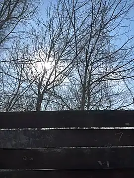 leila beayte  online show from March 7, 2025, 11:40 am