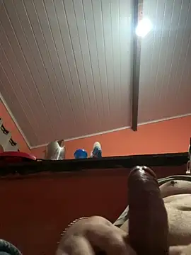 Snapshot of brunogordin69 chatting on September 25, 2025, 7:01 am brunogordin69 online show from September 25, 2025, 7:01 am