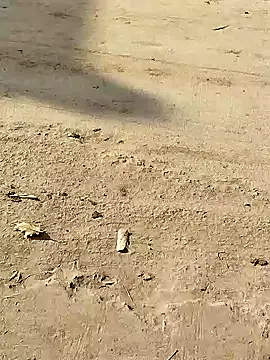 Snapshot of Monster_Bigdick chatting on December 8, 2024, 3:32 am Monster Bigdick online show from December 8, 2024, 3:32 am