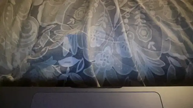 Dogz n daugthers online show from March 21, 2026, 12:37 am