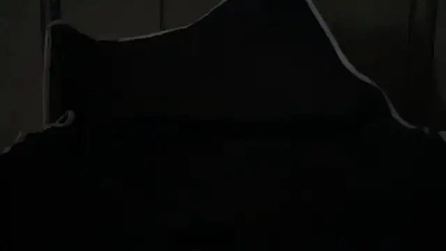 Dogz n daugthers online show from April 1, 2026, 2:25 pm