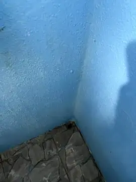 mfloressd14 online show from January 8, 2026, 6:21 pm