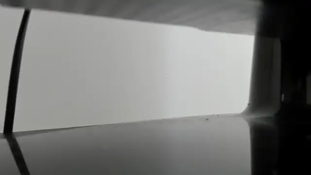 Alejandra Dunn online show from October 3, 2025, 1:19 pm