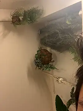 Snapshot of IroManager chatting on September 15, 2025, 1:44 pm IroManager online show from September 15, 2025, 1:44 pm