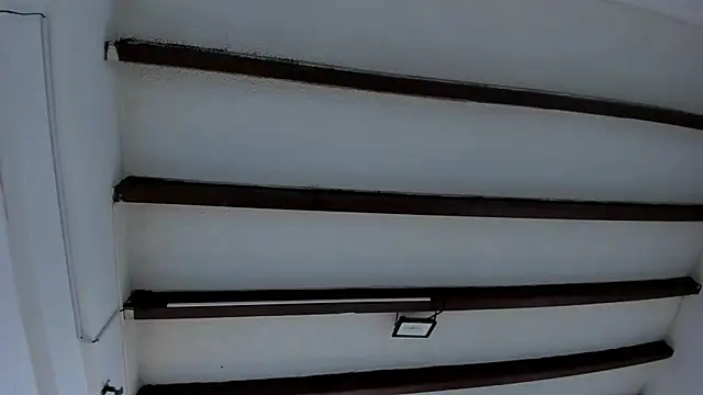 Oriana Guzman online show from January 30, 2025, 12:06 pm