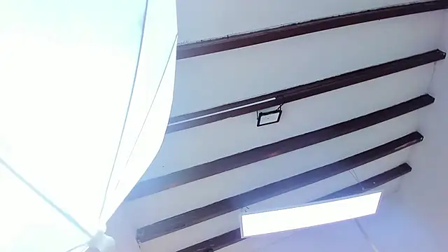 Oriana Guzman online show from February 22, 2025, 6:41 pm