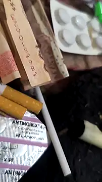 trans511 online show from April 11, 2026, 8:57 pm