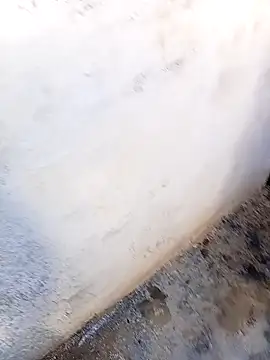 rau 4455 online show from November 5, 2025, 11:10 am