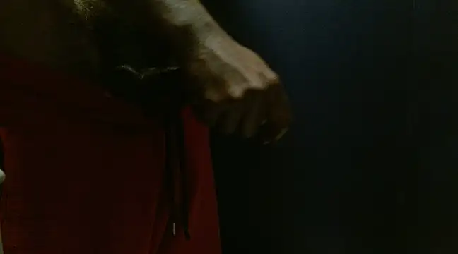 phbbcsham online show from January 24, 2025, 6:35 pm