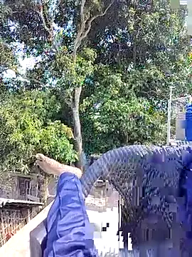 Snapshot of ErRakesh1 chatting on November 10, 2025, 5:28 am ErRakesh1 online show from November 10, 2025, 5:28 am