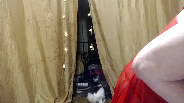  Estelitta 5 online show from January 17, 2025, 12:42 pm