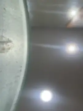 Mila Morgan online show from January 23, 2025, 1:51 am