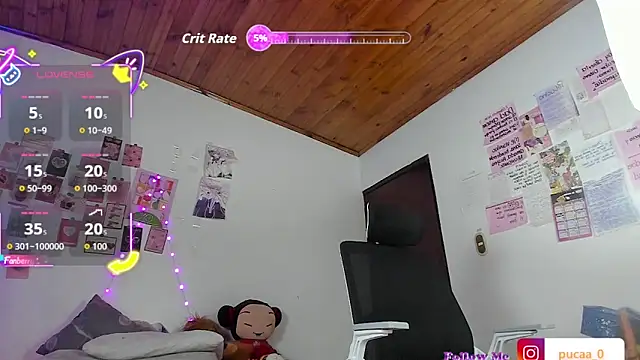 Pucaa  online show from February 19, 2026, 1:23 am