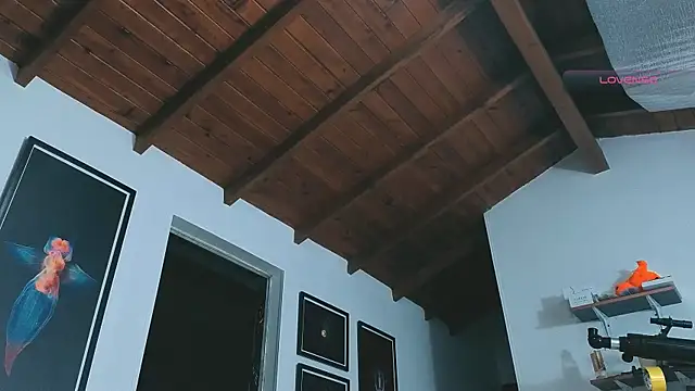 SilvaBranko online show from March 14, 2026, 12:06 am