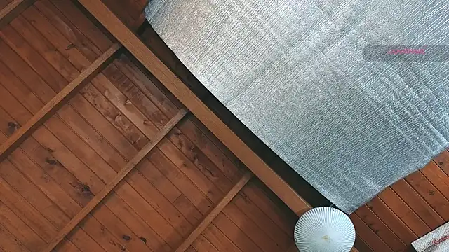 SilvaBranko online show from March 27, 2026, 9:03 pm