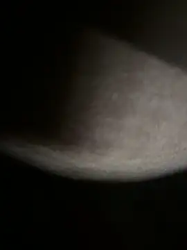 Snapshot of Bongcrush_3 chatting on March 8, 2025, 1:17 am Bongcrush 3 online show from March 8, 2025, 1:17 am