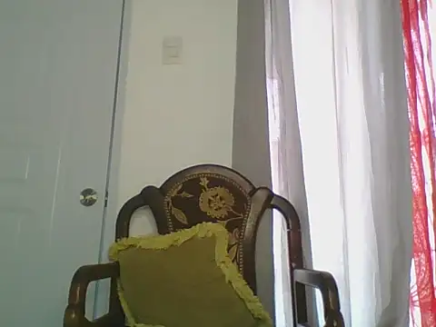 Snapshot of the_geisha_2021k chatting on March 24, 2026, 3:17 pm the geisha 2021k online show from March 24, 2026, 3:17 pm