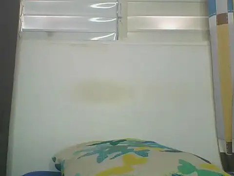 Snapshot of the_geisha_2021k chatting on June 16, 2026, 1:03 pm the geisha 2021k online show from June 16, 2026, 1:03 pm