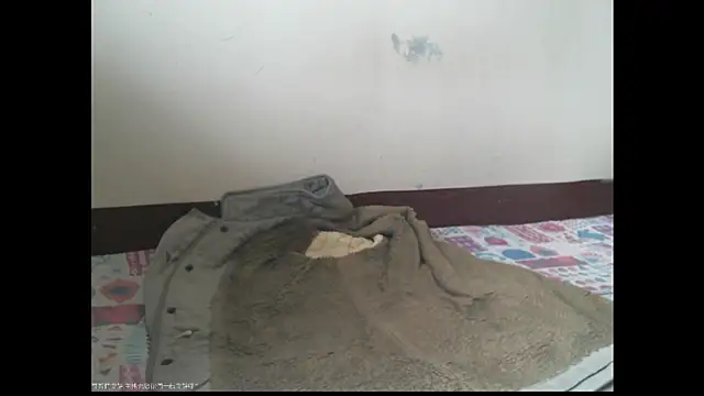 triangle0623 online show from December 20, 2025, 5:47 am