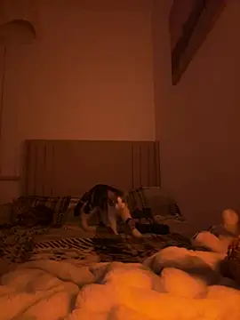 Sashabunny online show from February 12, 2026, 8:15 pm