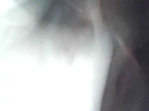 technodotado online show from April 23, 2026, 2:13 am