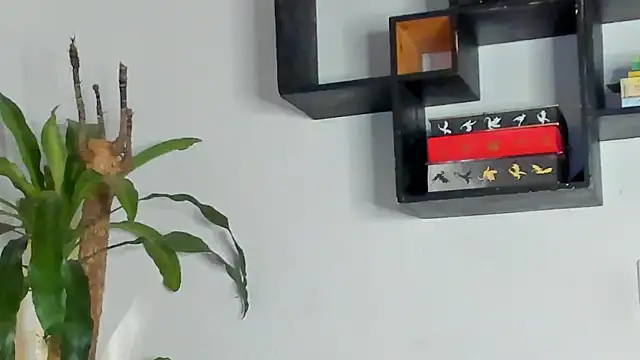 Snapshot of Bellacrox chatting on July 24, 2026, 10:08 pm Bellacrox online show from July 24, 2026, 10:08 pm
