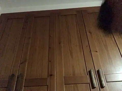 Dicksexhandjob online show from December 17, 2024, 12:23 am