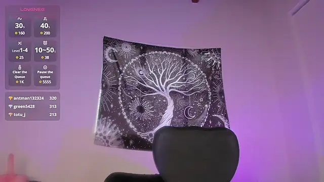 Snapshot of AramJoness chatting on December 13, 2024, 4:27 pm AramJoness online show from December 13, 2024, 4:27 pm