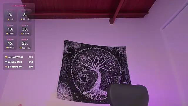 Snapshot of AramJoness chatting on December 17, 2024, 9:50 am AramJoness online show from December 17, 2024, 9:50 am