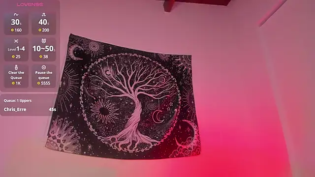 Snapshot of AramJoness chatting on December 31, 2024, 9:21 am AramJoness online show from December 31, 2024, 9:21 am