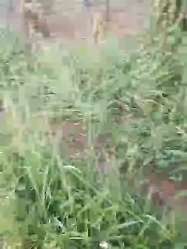 hotpussy-11 online show from December 11, 2024, 3:35 am