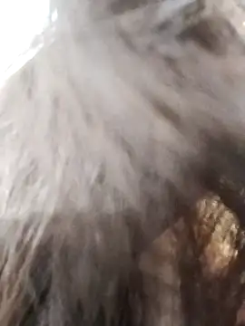 Kiritika 1 online show from March 25, 2026, 2:39 am