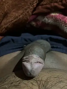 delhiboyz1 online show from February 16, 2025, 7:49 pm