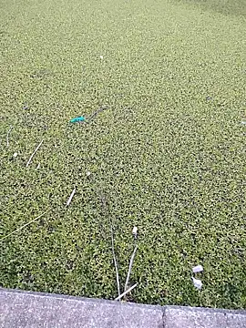 Snapshot of Eduardoxxx51 chatting on December 3, 2025, 10:19 pm Eduardoxxx51 online show from December 3, 2025, 10:19 pm