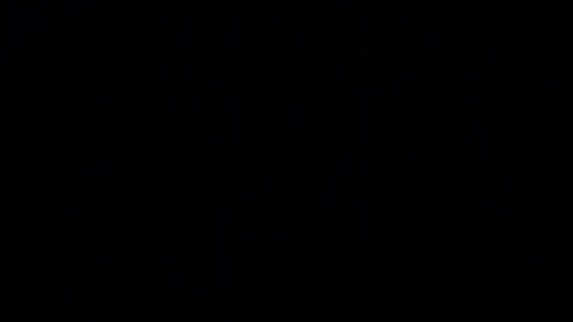 zacwatson  online show from January 24, 2025, 6:03 am