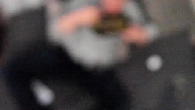 Snapshot of stillwild chatting on February 6, 2025, 4:42 am stillwild online show from February 6, 2025, 4:42 am