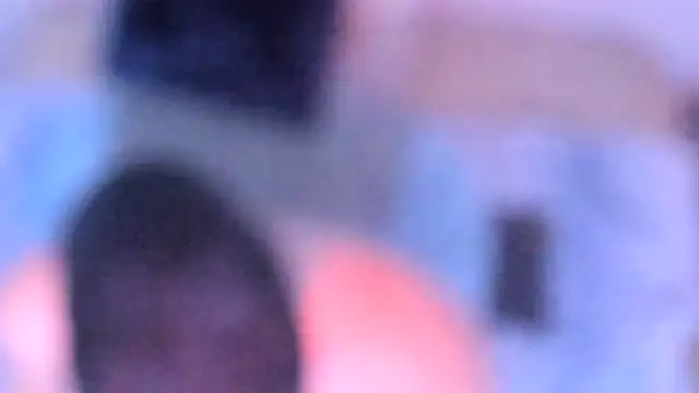 Snapshot of stillwild chatting on December 14, 2025, 10:20 am stillwild online show from December 14, 2025, 10:20 am