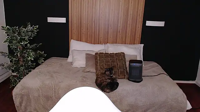 Snapshot of dafne_bss chatting on March 6, 2025, 5:03 am dafne bss online show from March 6, 2025, 5:03 am