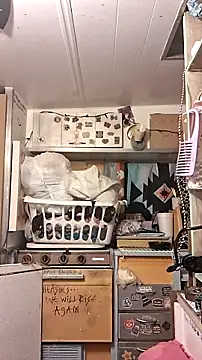 Snapshot of whitetrashdirtyslut chatting on June 20, 2026, 7:55 am whitetrashdirtyslut online show from June 20, 2026, 7:55 am