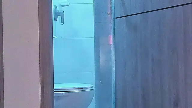 liamelf online show from December 29, 2024, 9:39 am