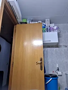 Javier bear online show from February 12, 2026, 2:01 pm