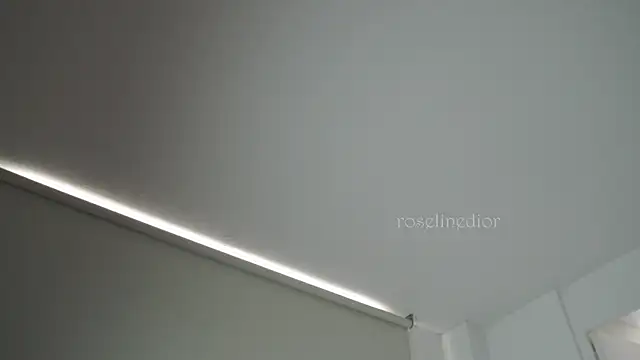 roselinedior online show from September 26, 2025, 3:05 pm