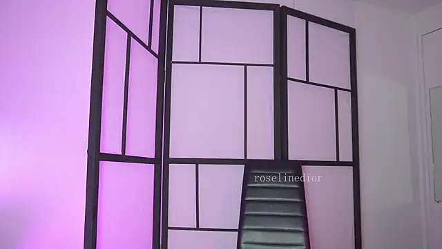 roselinedior online show from February 25, 2026, 2:05 pm