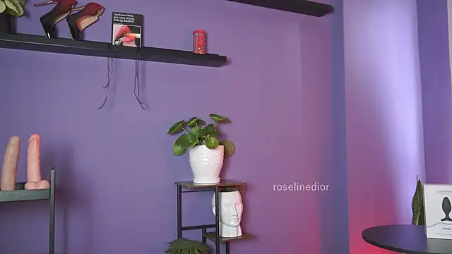 roselinedior online show from May 19, 2026, 2:45 pm